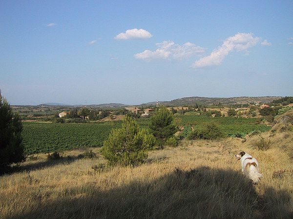 med_Mein Land.jpg (600 x 450)